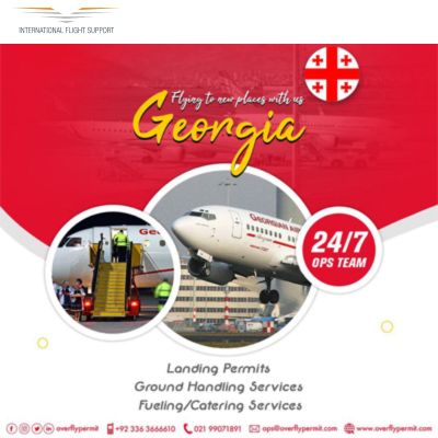 Best International Flight Support | Georgia