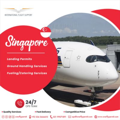 Best International Flight Support | SINGAPORE